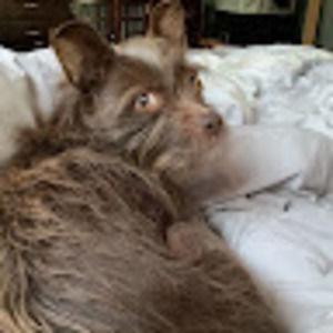 Meet your Posher, Maria